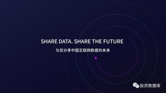 国双数据中心2017年互联网发展报告 互联网数据服务洞察